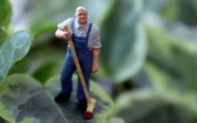 Bemannia tecknar avtal med Lidingö Stad