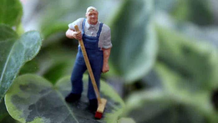 Bemannia tecknar avtal med Lidingö Stad